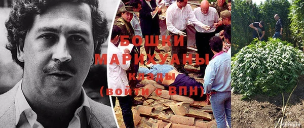 ГАЛЛЮЦИНОГЕННЫЕ ГРИБЫ Пенза