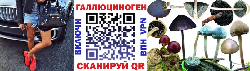 Купить  Тотьма  Галлюциногенные грибы Magic Shrooms 