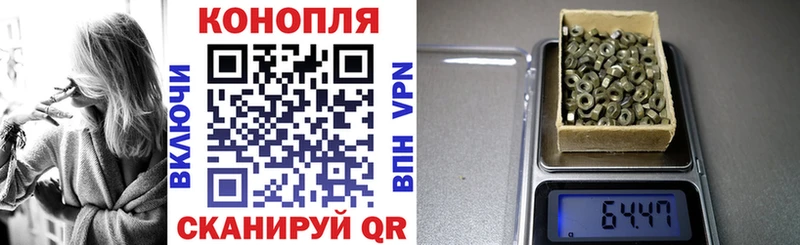 Купить закладки  Тотьма  Конопля сатива 